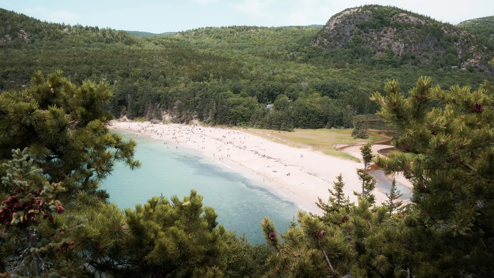 Sand Beach in Acadia National Park