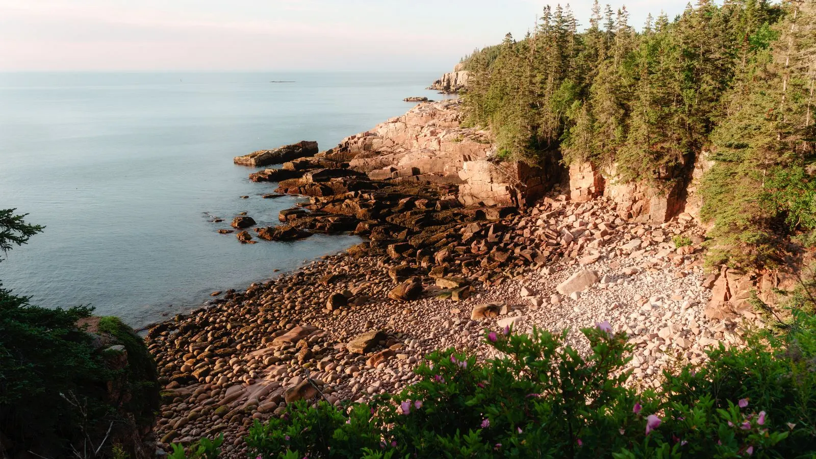 Forested cliffs over the water on the Acadia coast