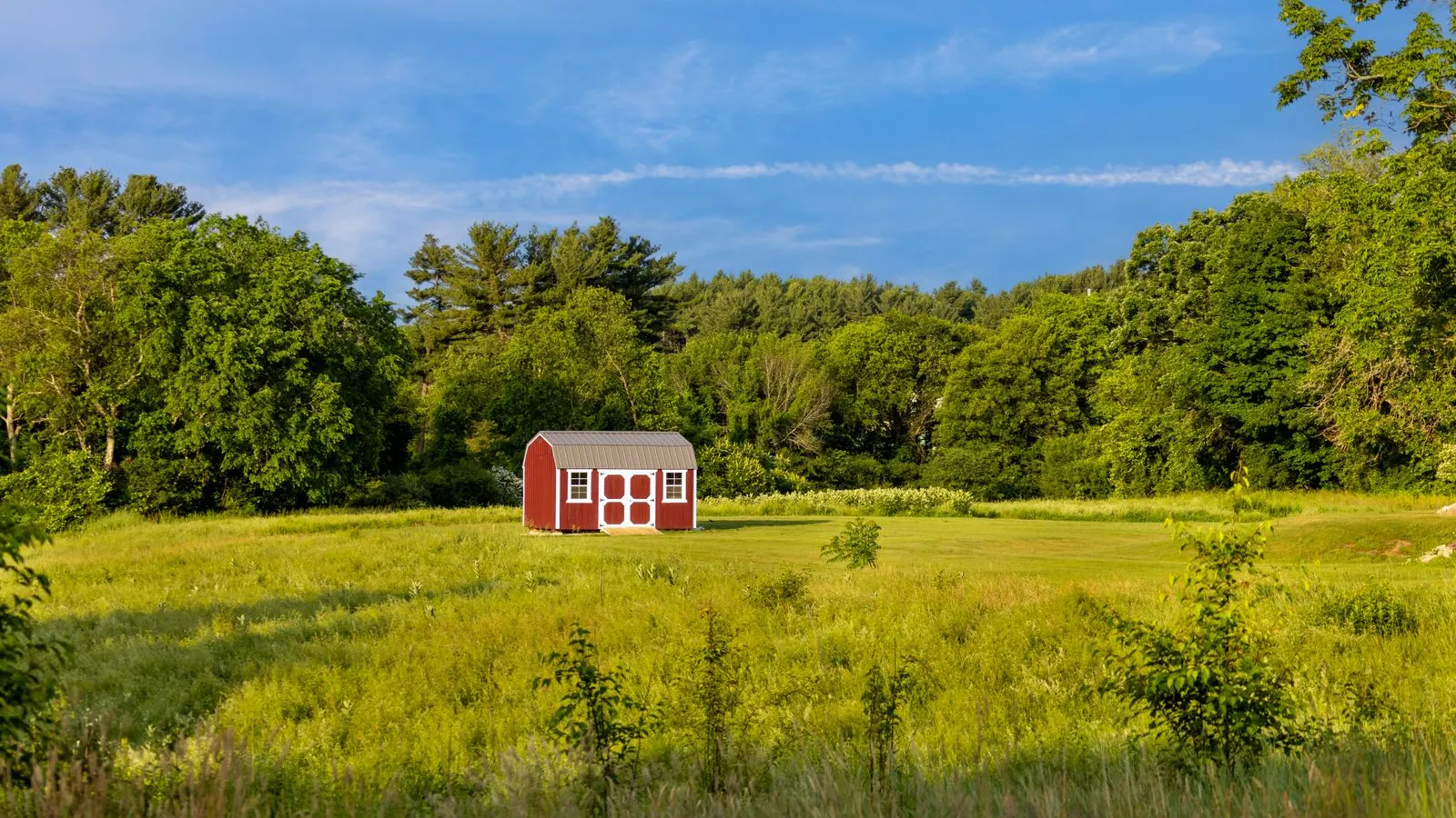 Small red barn in a summer meadow