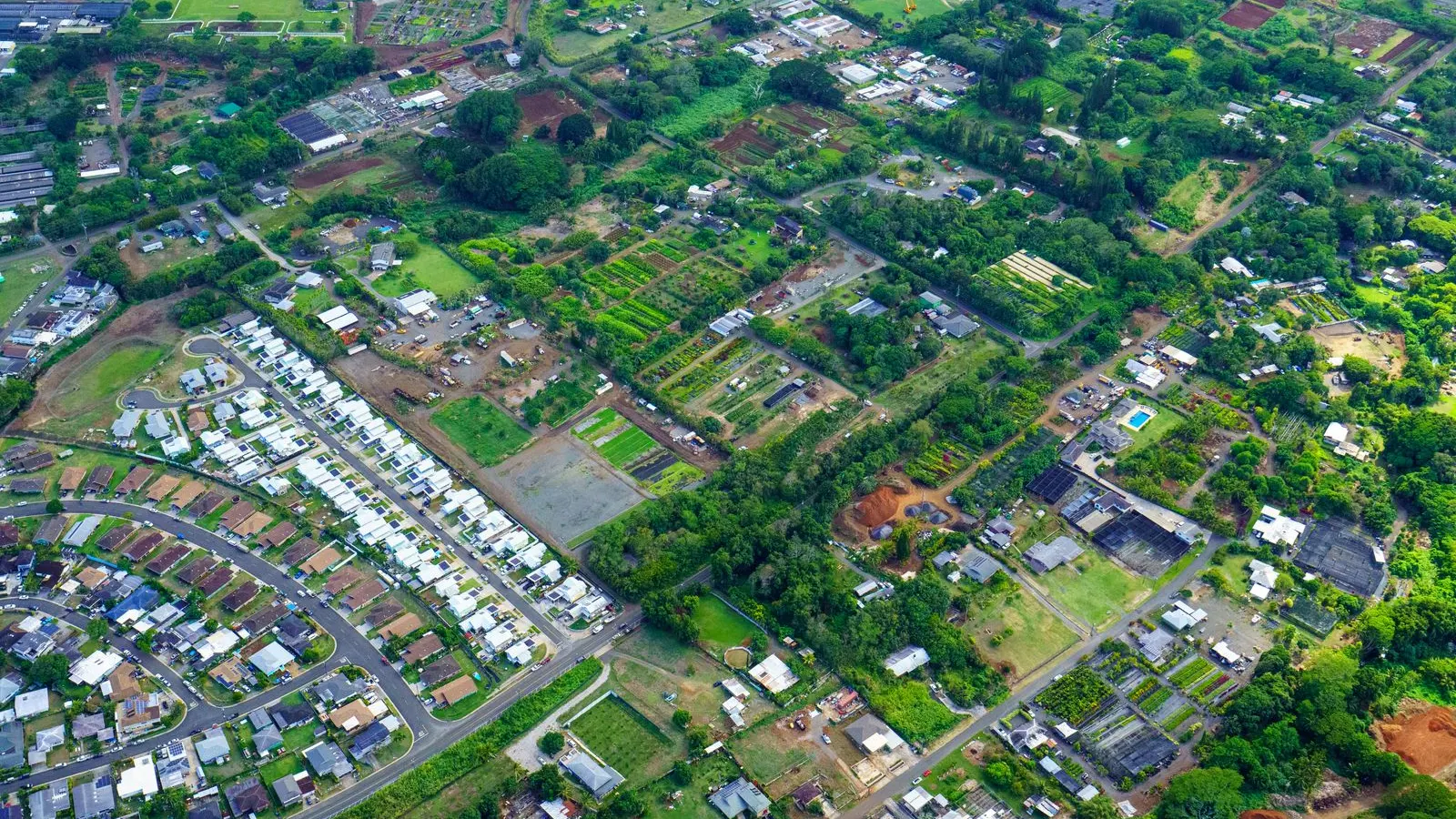 Honolulu area neighborhood from above