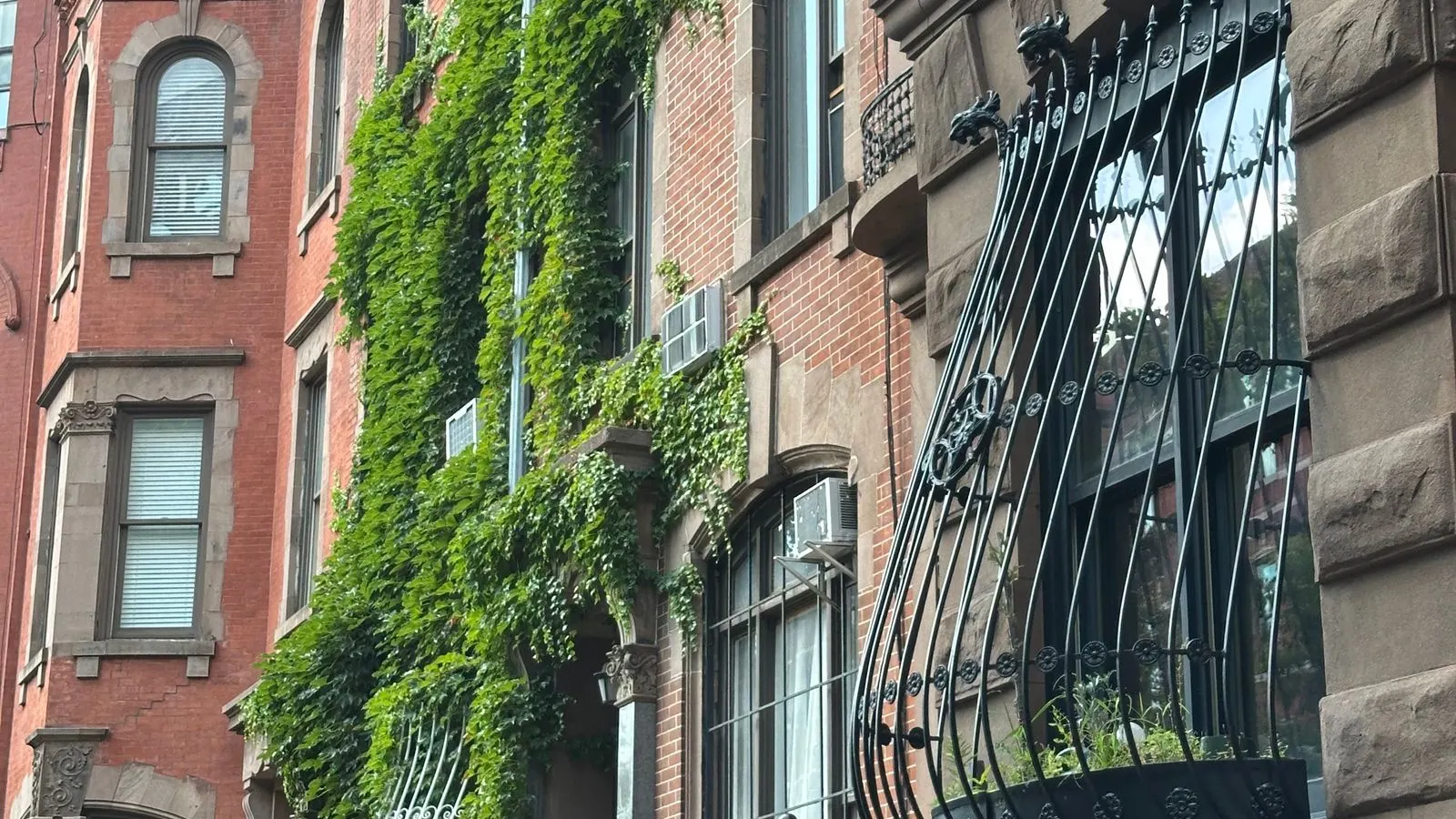 Ivy covered brownstones with iron balconies in New York