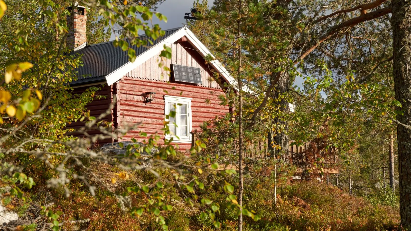 Red cabin among autumn trees