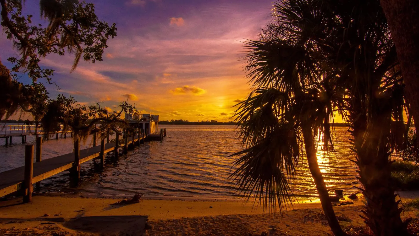 Palms and a dock at sunset in Sarasota