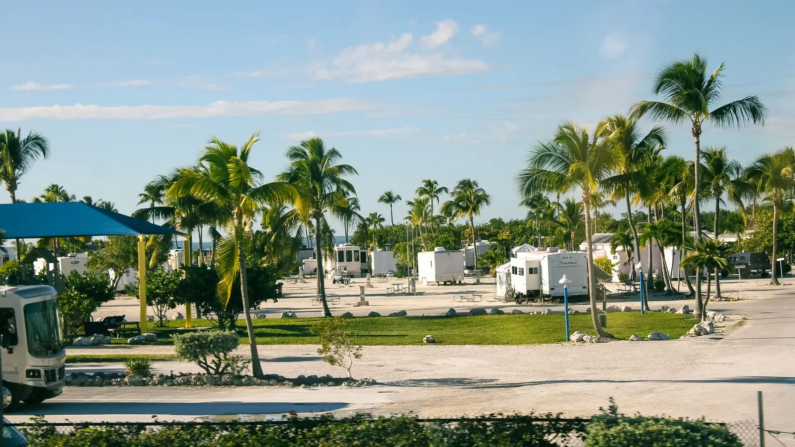 Palms around a waterside park in Florida