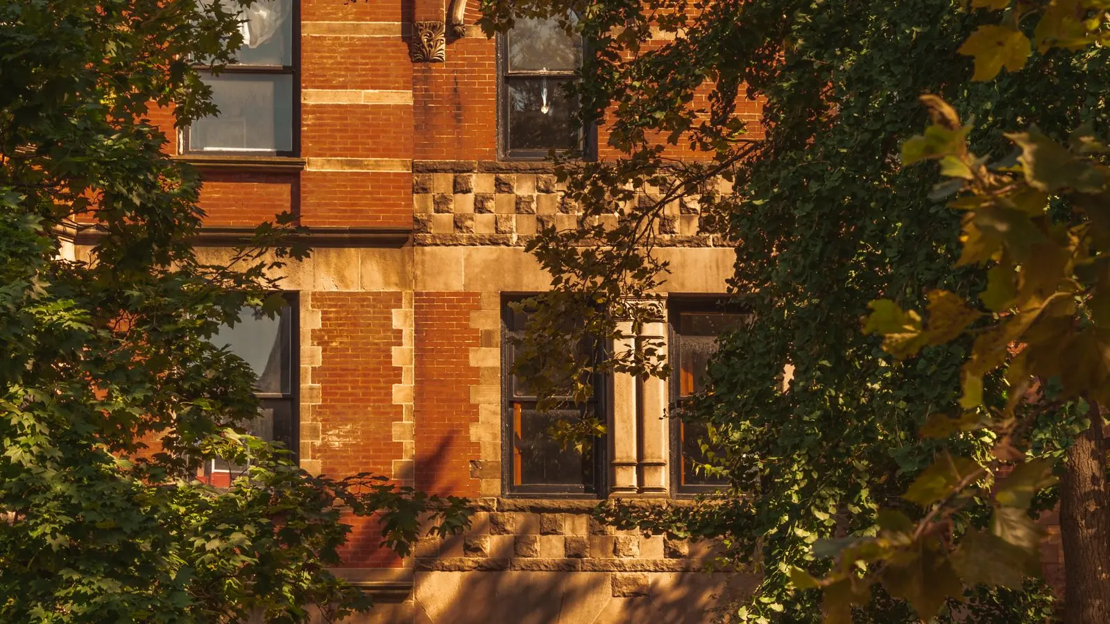 Brick apartment building behind trees in New York