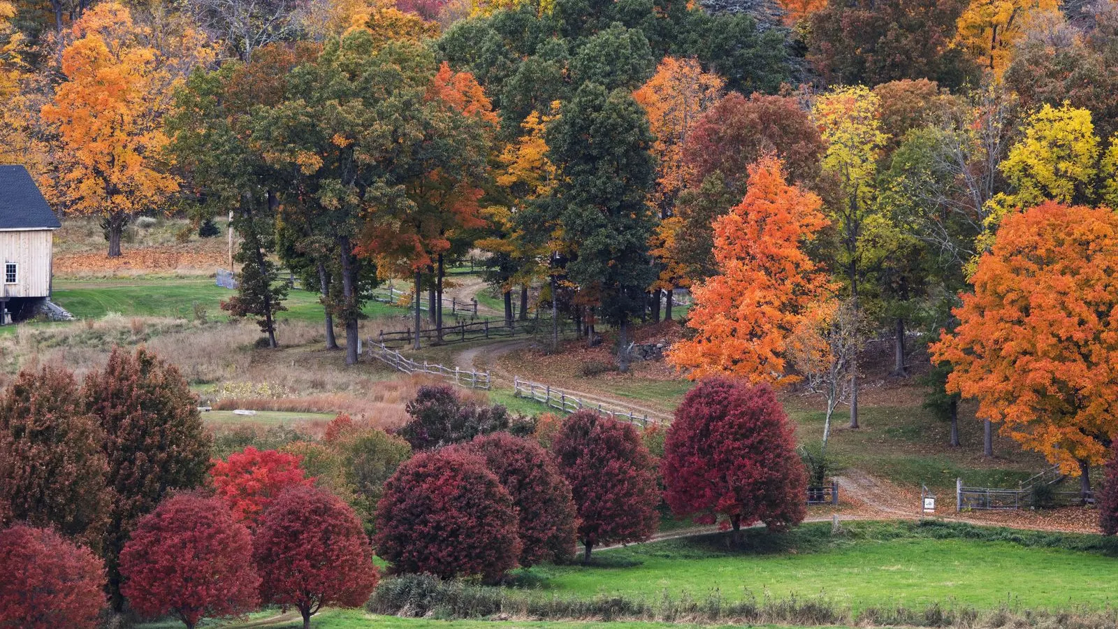 Barn among bright fall trees in New England