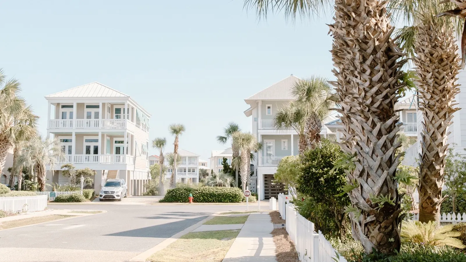 Palm lined sidewalk past homes on a sunny Florida street